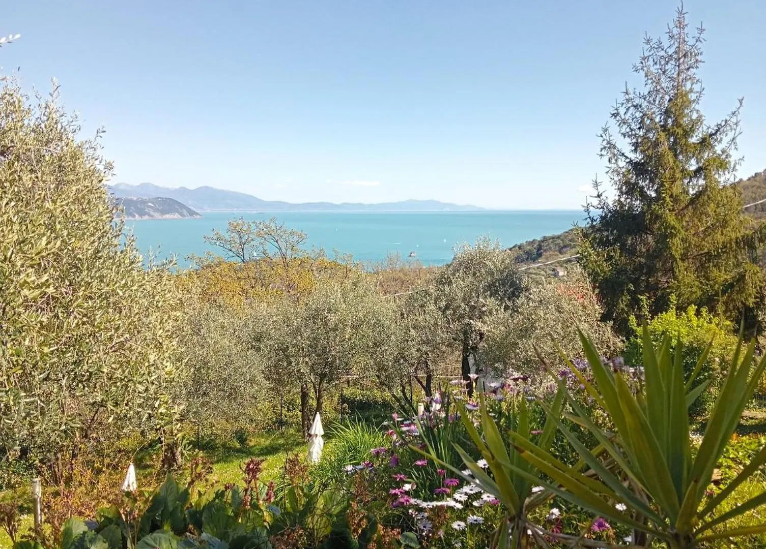 Guest house Tenuta Di Venere Porto Venere Italy