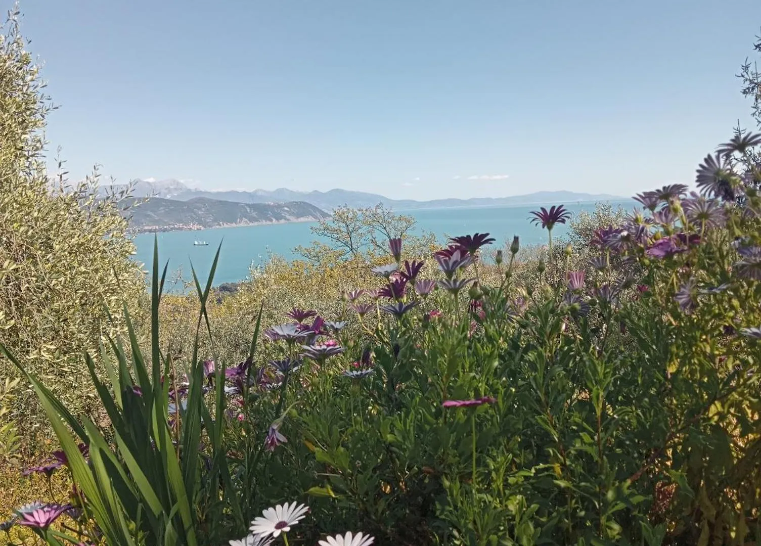 Tenuta Di Venere Porto Venere