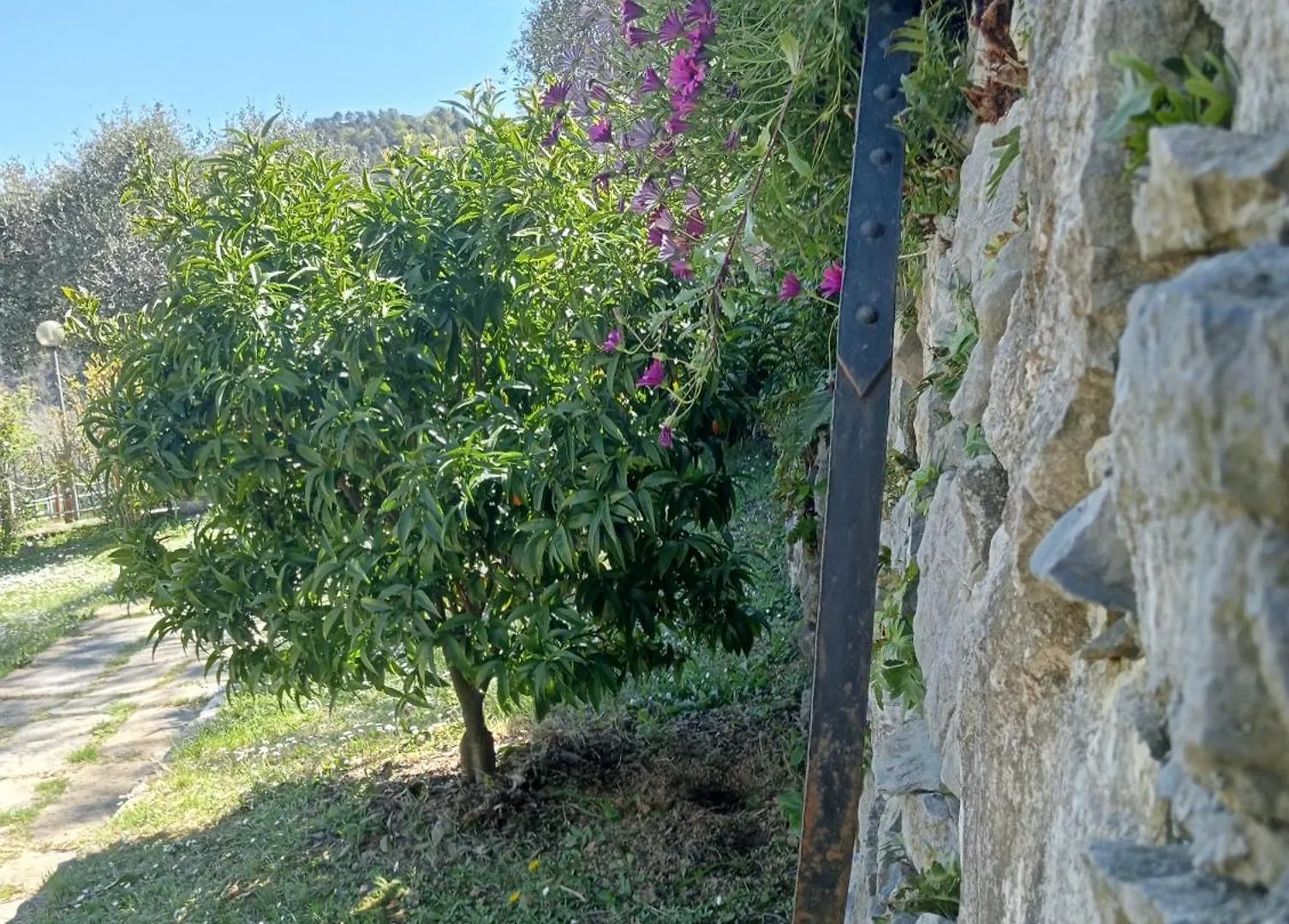 Guest house Tenuta Di Venere Porto Venere